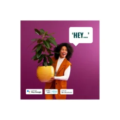 Dubbelpack 2x WiZ Smart LED E27 Päron Filament 7W 806lm | Bästa Färgåtergivning - Dimbar - Ersättare 60W