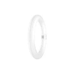 Ledvance LED Rör T9 Value Cirkulär (EM/Mains) 11W 1320lm - 840 Kallvit | Ersättare 22W
