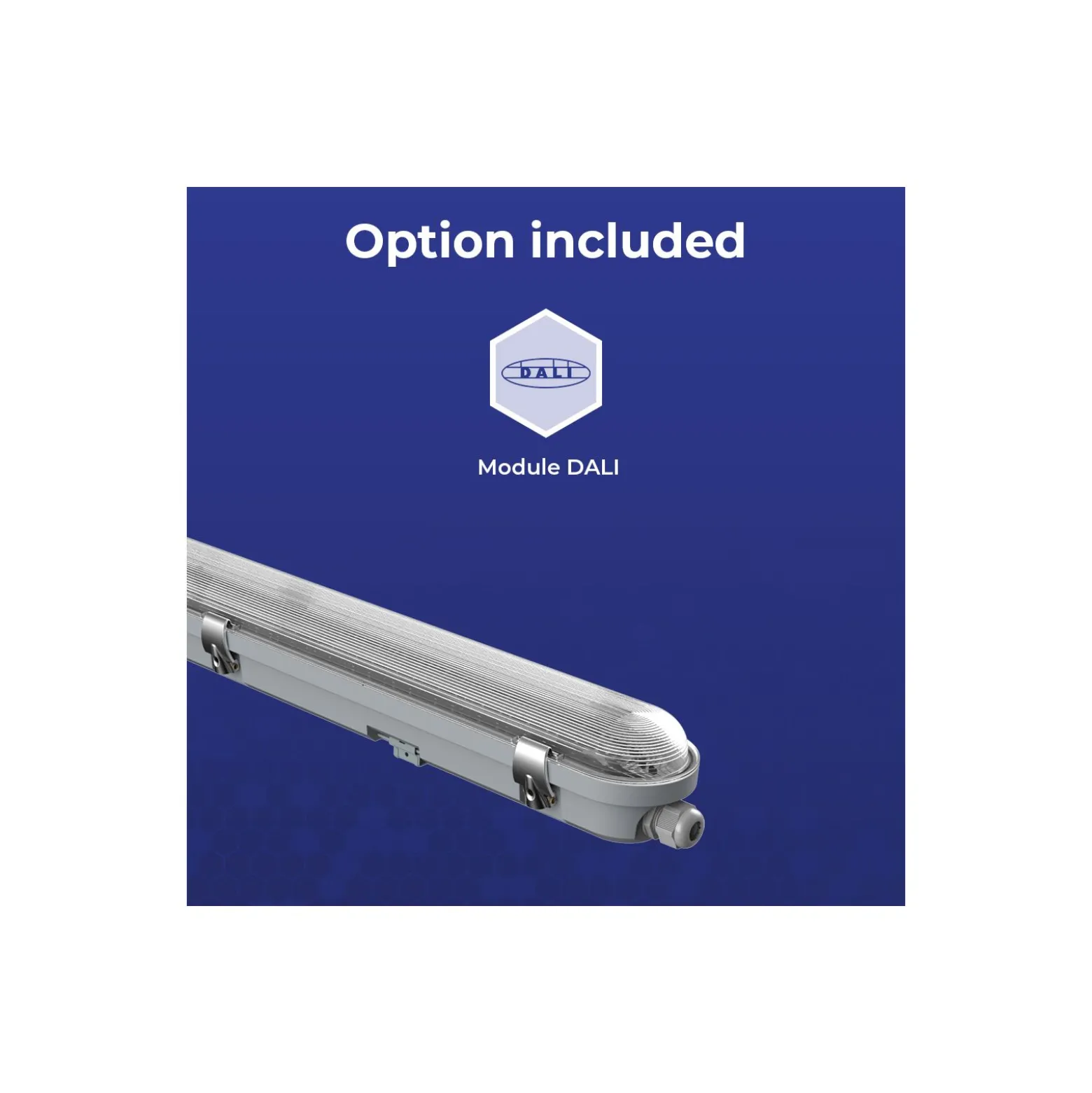 Noxion LED Allmänbruksarmatur Vattentät Poseidon V3.0 30W 3900/4200lm - 830-865 CCT | 120cm - Kabelgenomföring (5x2.5mm2) - Dali Dimbar