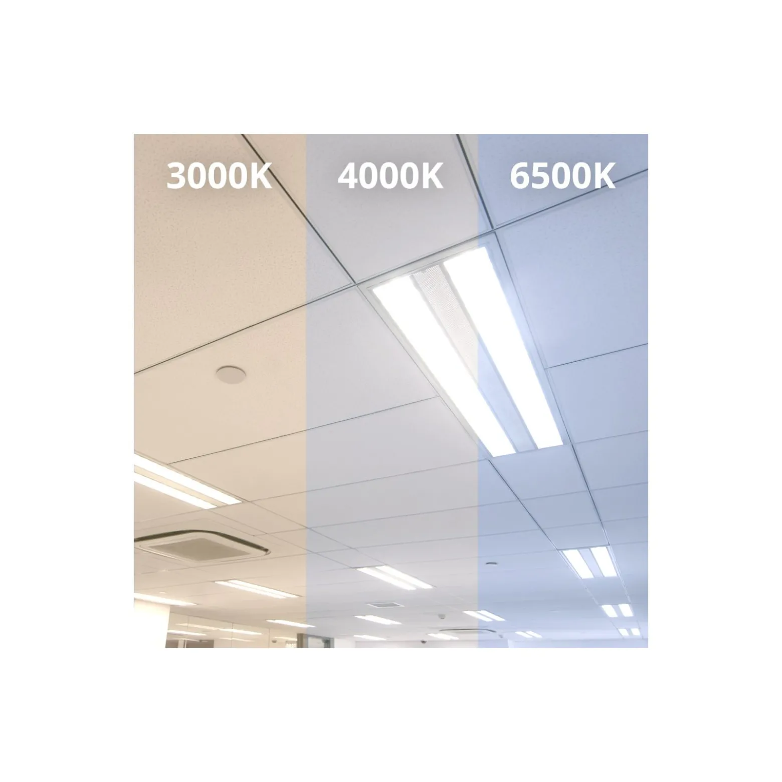 Noxion LED Rör T8 Avant Extreme (EM/Mains) High Output 13W 2100lm - 840 Kallvit | 120cm - Ersättare 36W